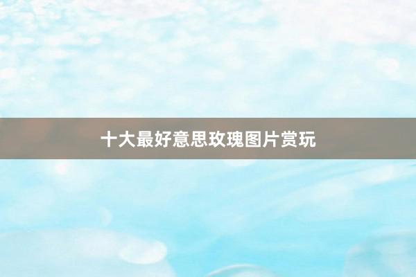 十大最好意思玫瑰图片赏玩